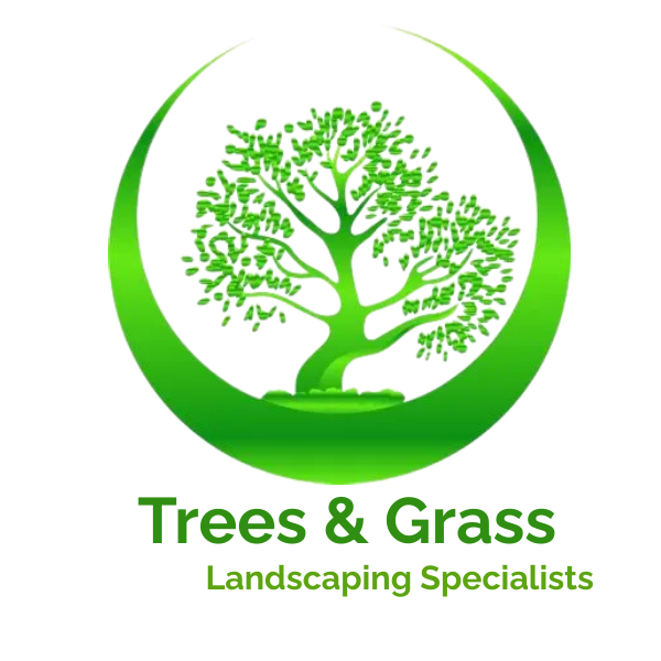 Wesley Tree Surgery TA Trees & Grass | Tree Felling & Lawn Maintenance