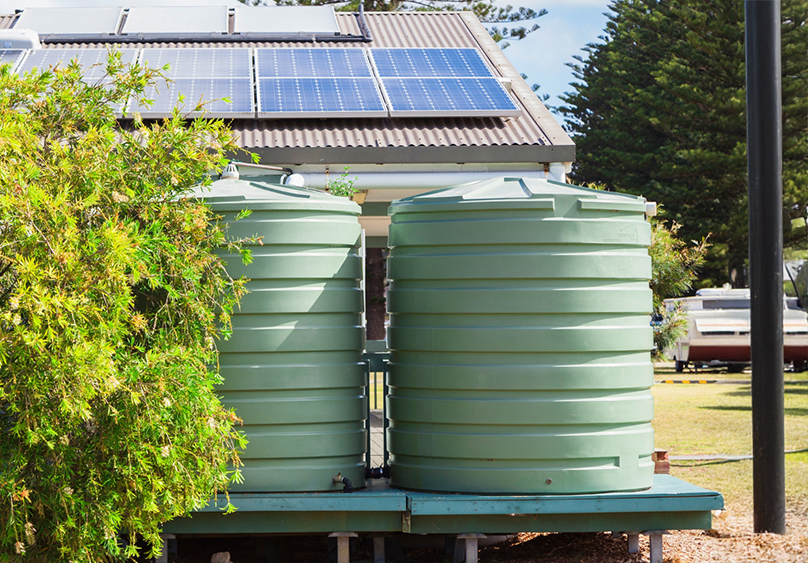Rainwater Harvesting Services Gqeberha Trees and Grass Rainwater Harvesting Services Gqeberha Trees and Grass